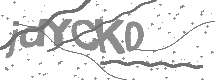 visual captcha